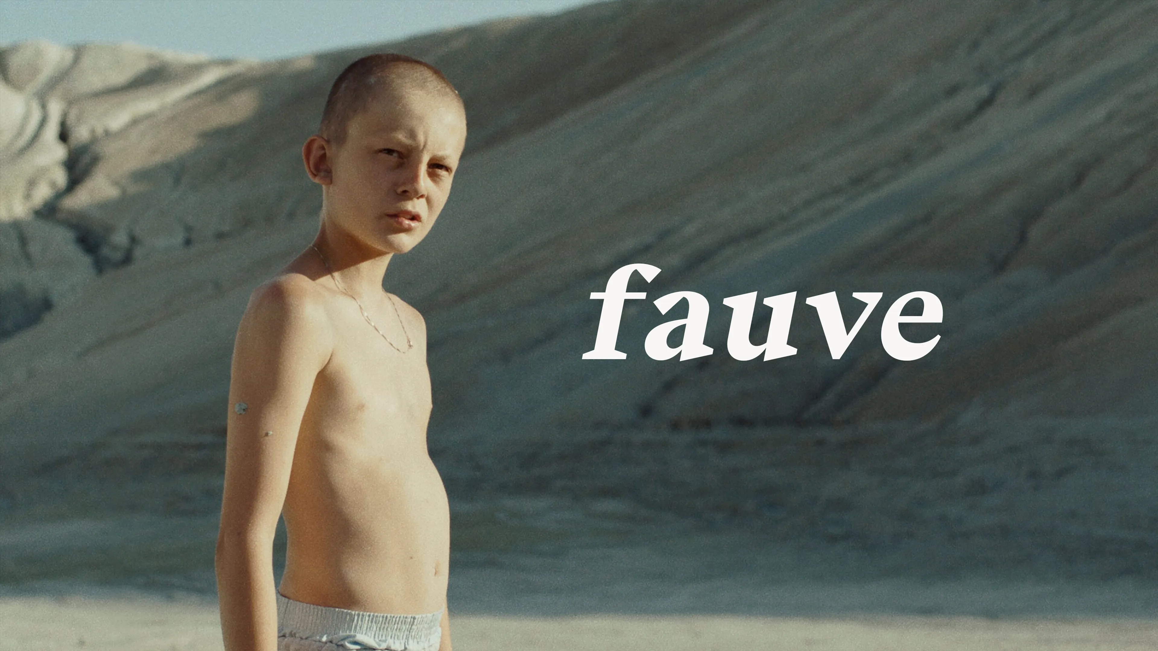 Fauve poster